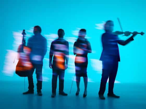 Vitamin String Quartet & Girl Named Tom